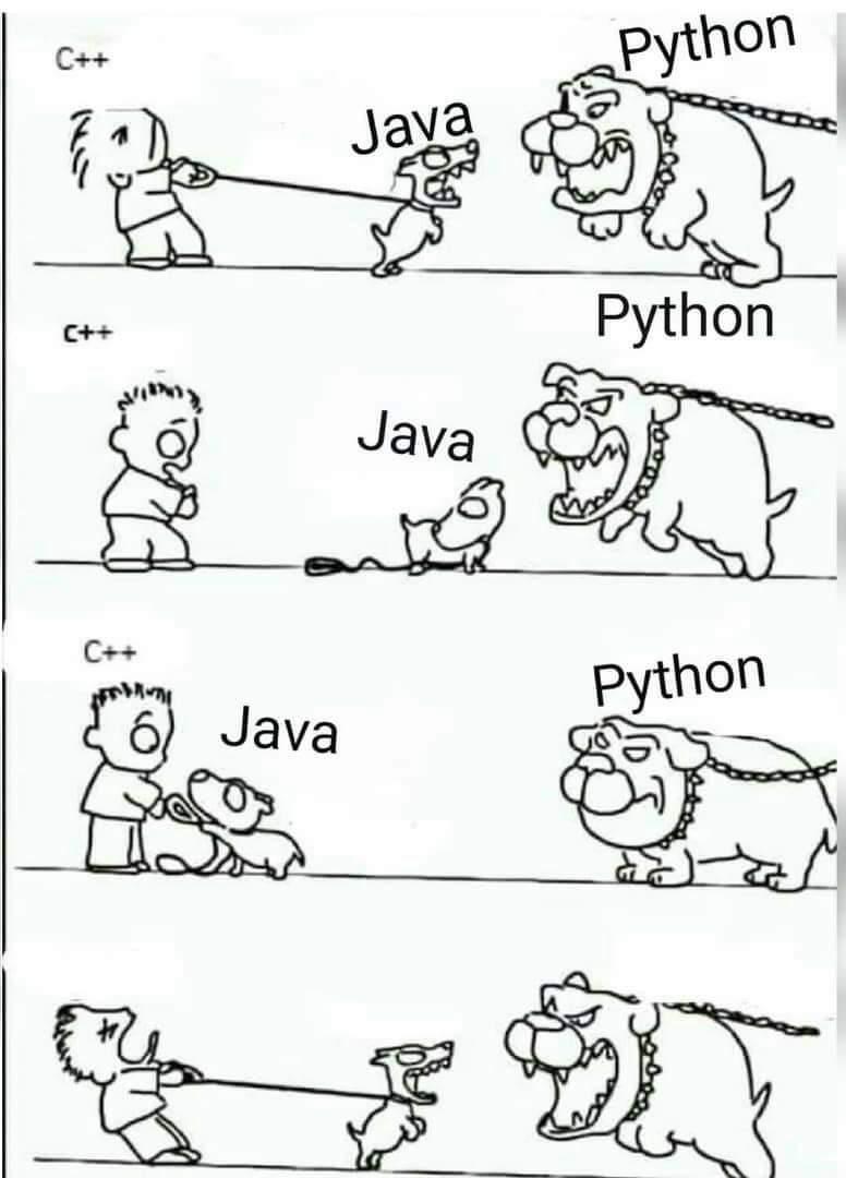 python01.jpg