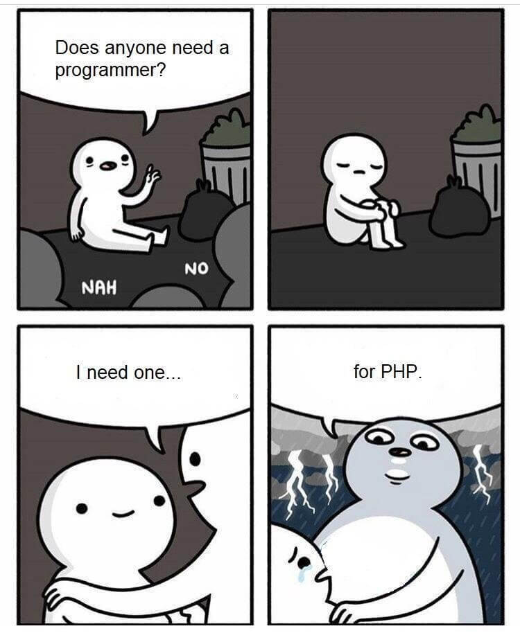 programmer01.jpg