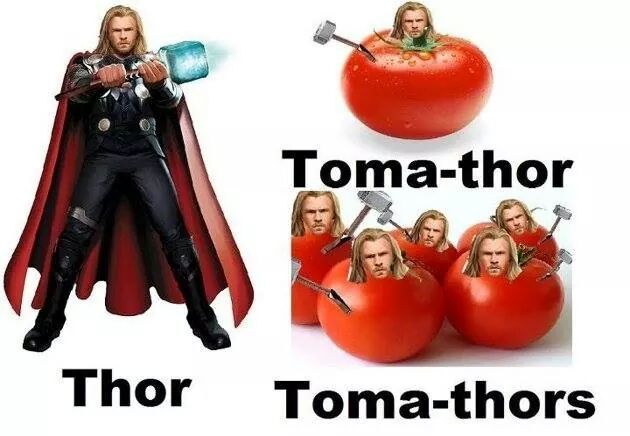 thor01.jpg