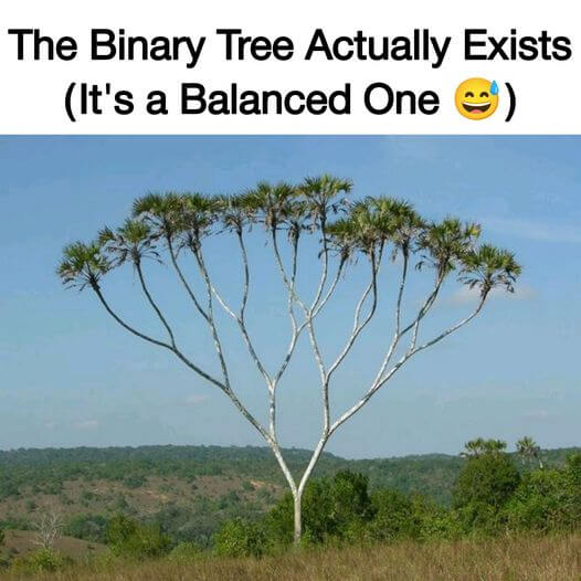 binarytree01.jpg