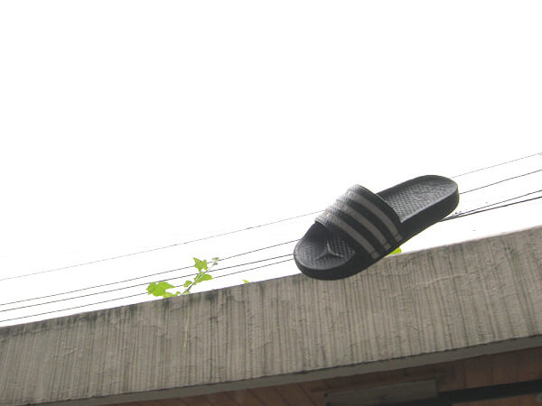 shoe01.jpg