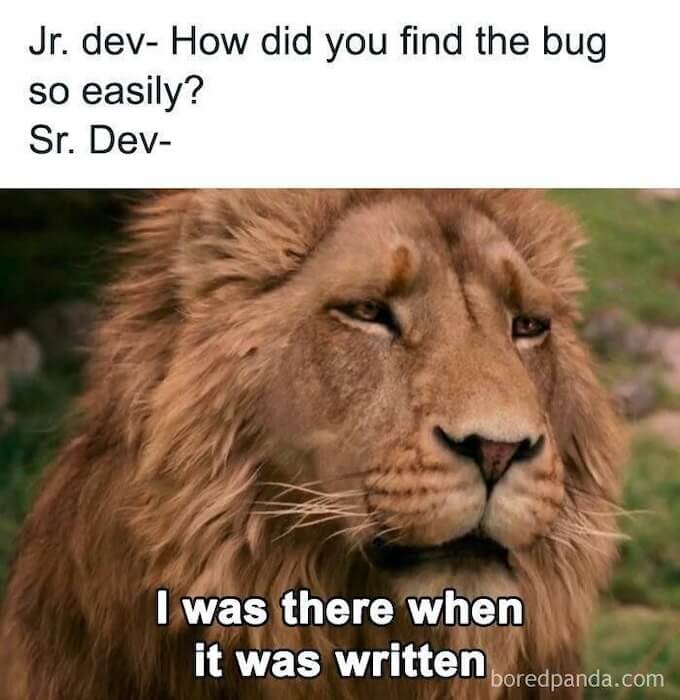developers01.jpg
