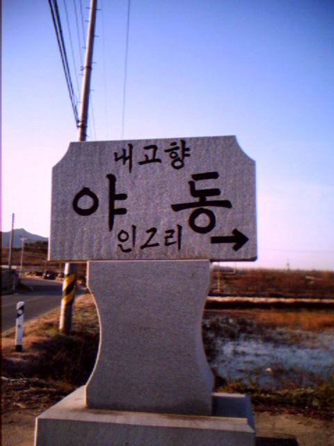 yadong_05.jpg