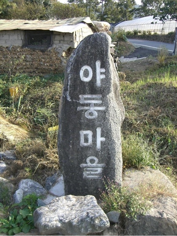 yadong_08.jpg