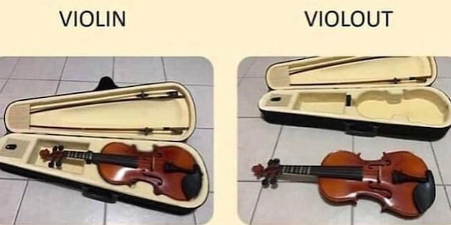 violin01.jpg