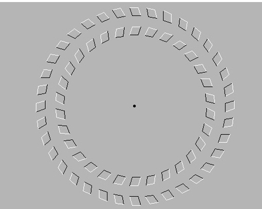 round.jpg