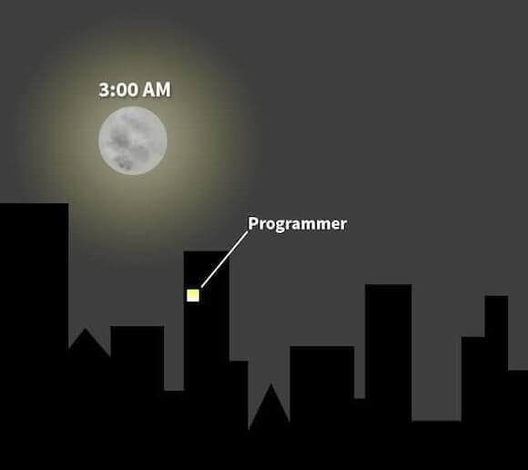 programmer01.jpg