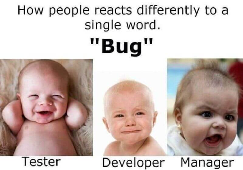 bugs01.jpg