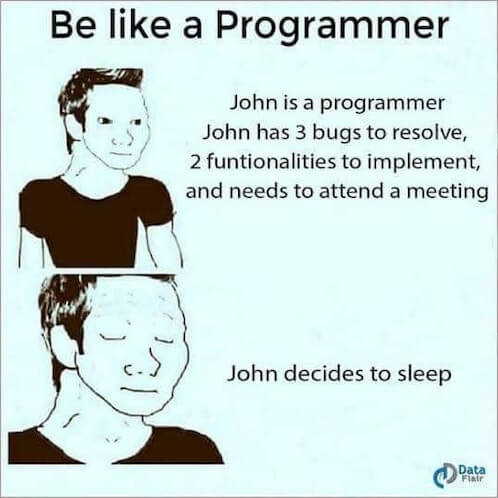 programmer01.jpg