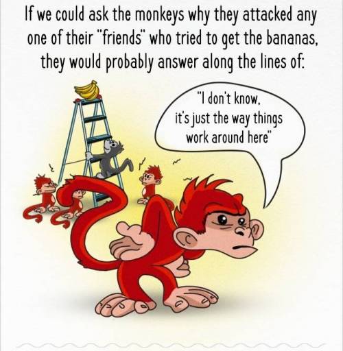monkey10.jpg