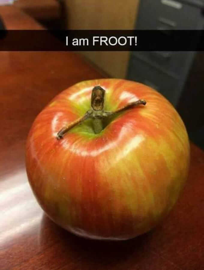 froot01.jpg