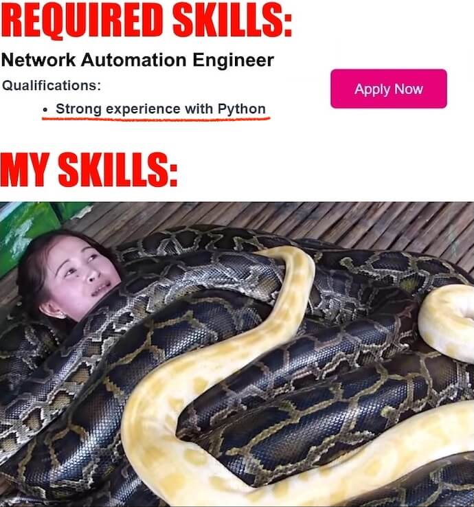 python01.jpg
