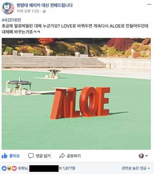 aloe01.jpg