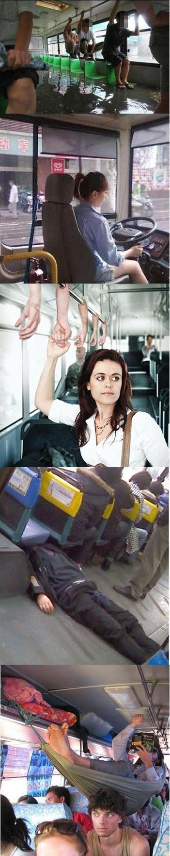 bus1.jpg