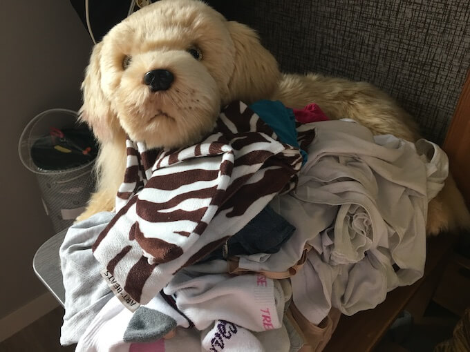 laundry01.jpg