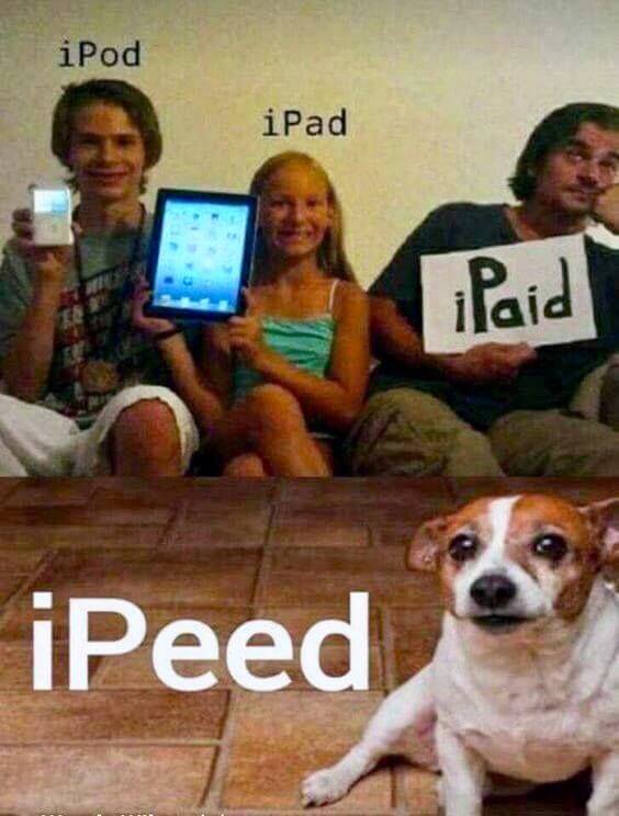 ipeed01.jpg