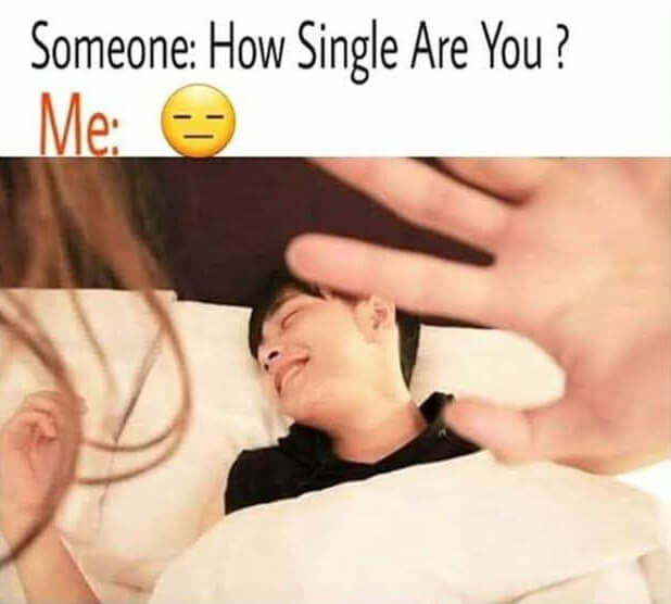 single01.jpg