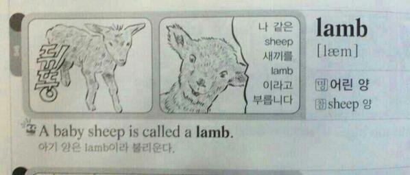 lamb.jpg