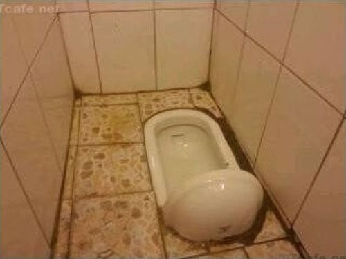 toilet01.jpg