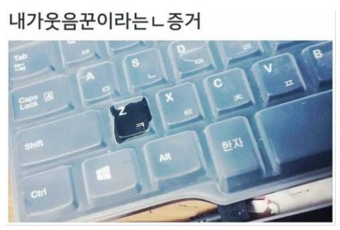 evidence01.jpg