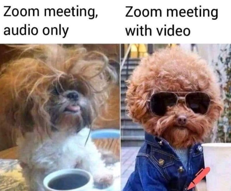 zoom02.jpg