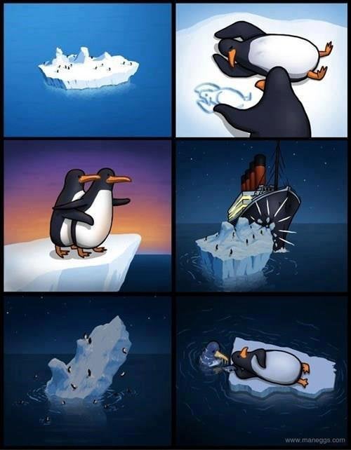 penguin01.jpg