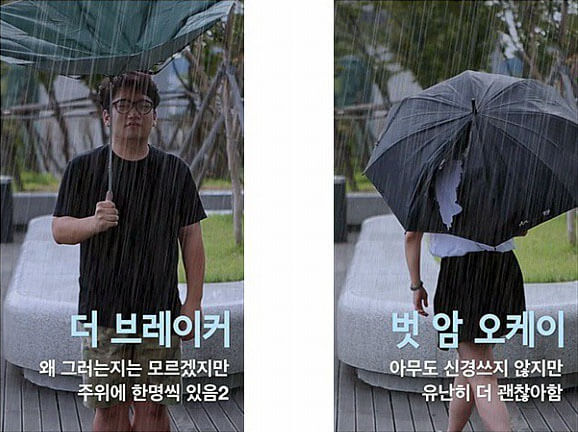 umbrella03.jpg