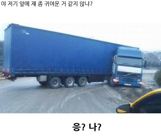 truck.jpg