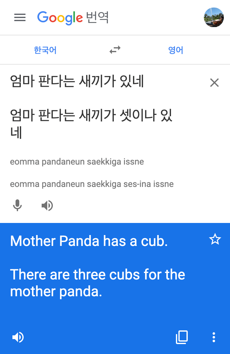 translate02_google.png