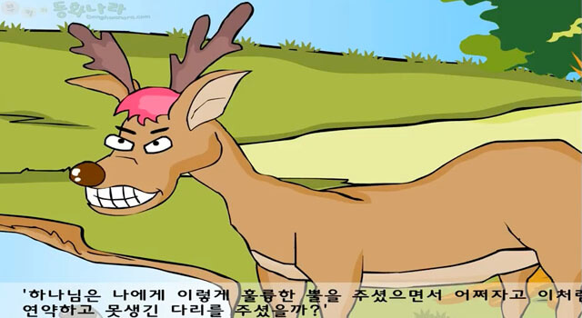 deer01.jpg