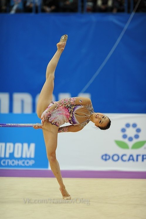 gymnastics24.jpg