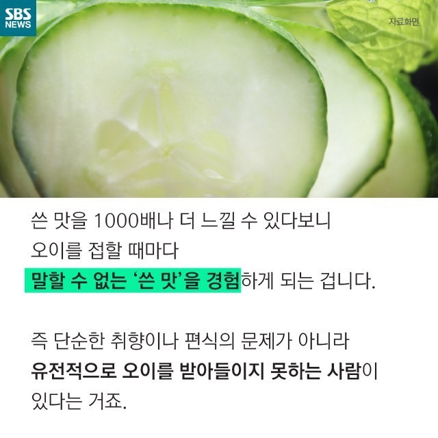 cucumber03.jpg